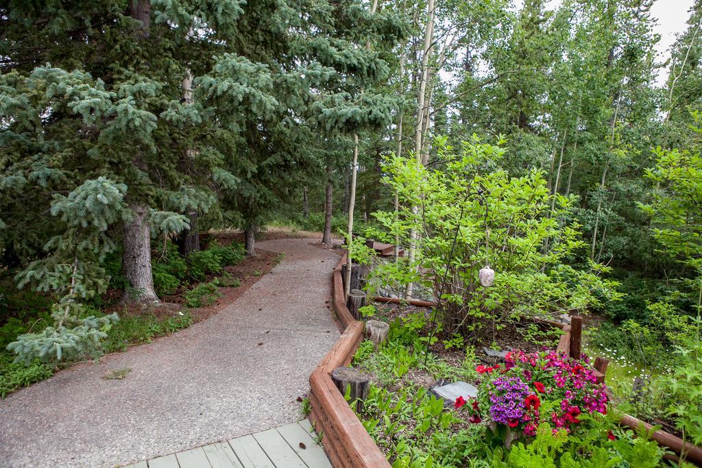 Hidden Valley Bed And Breakfast Уайтхорс Экстерьер фото