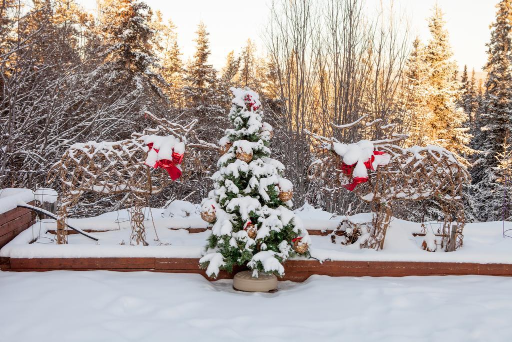 Hidden Valley Bed And Breakfast Уайтхорс Экстерьер фото